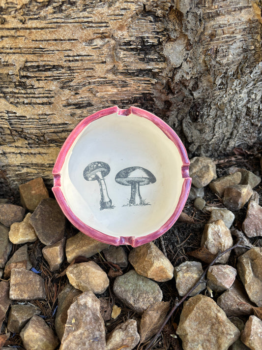 fungi- ashtray